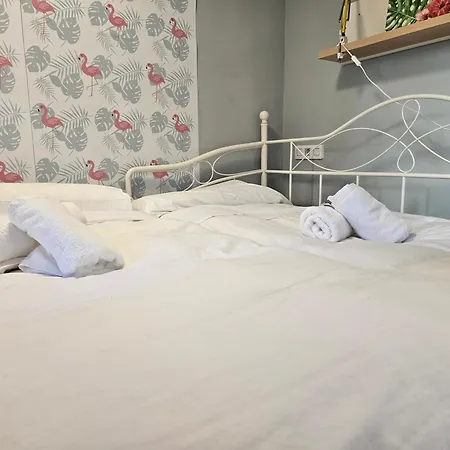 130a - Precioso En Cimadevilla Apartamento *